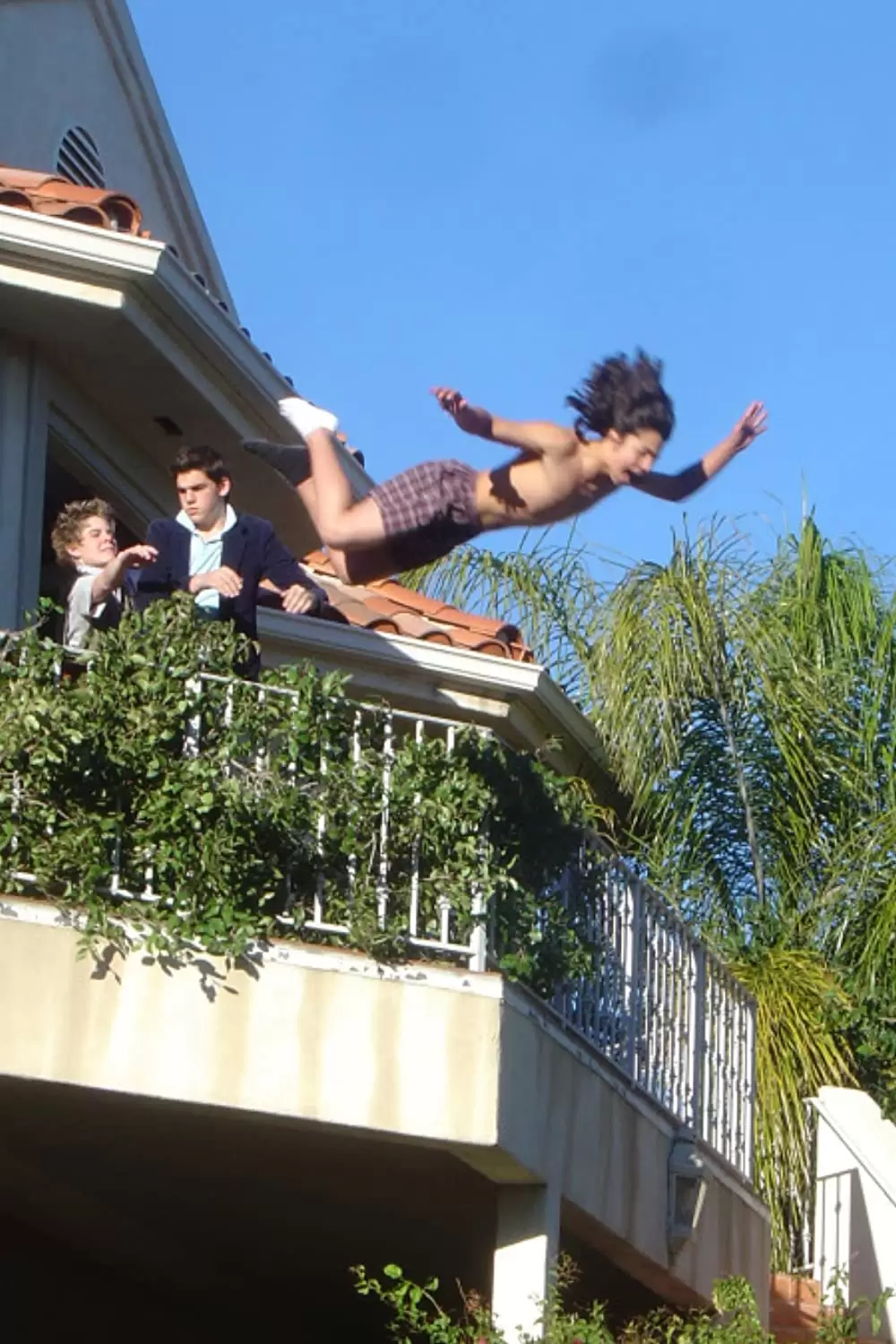 ワサップ！の画像