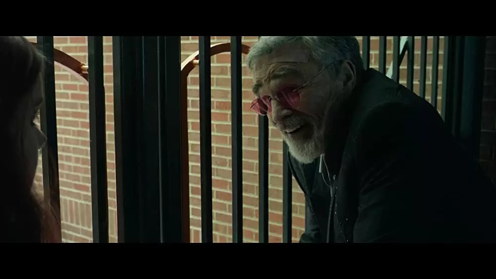 ラスト・ムービースターの画像