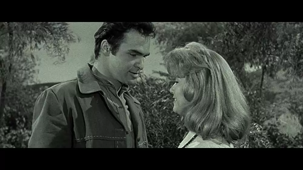 ラスト・ムービースターの画像