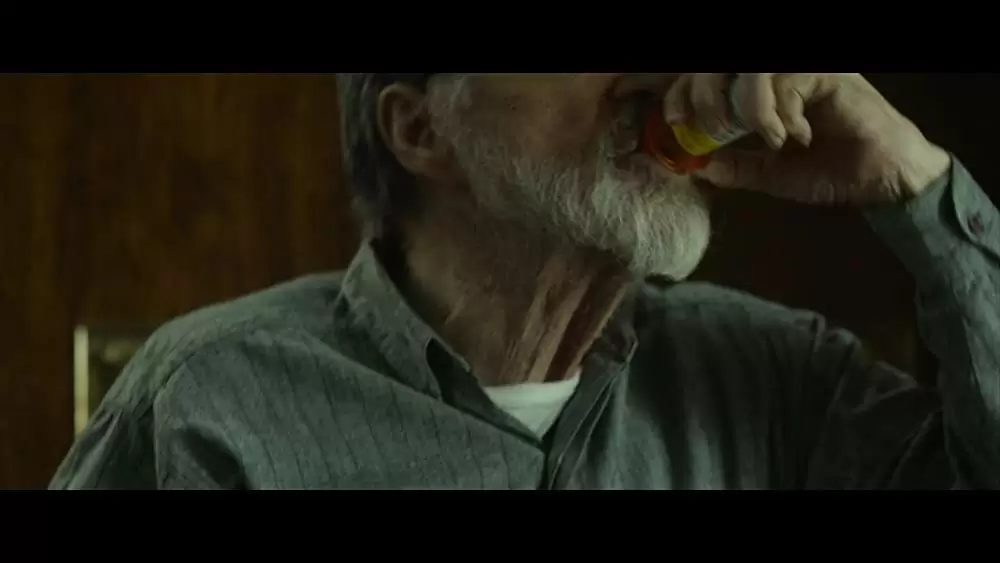 ラスト・ムービースターの画像