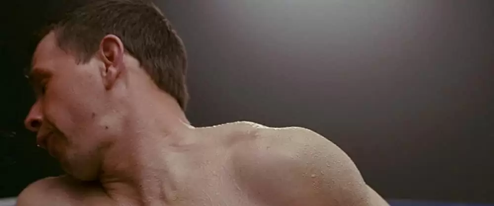 ザ・ファイターの画像