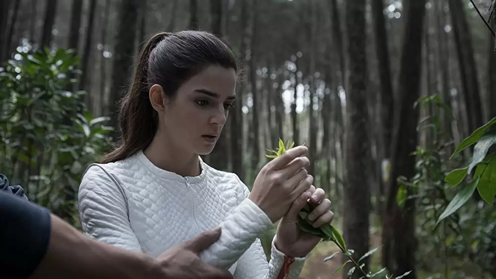 スターシップ9の画像