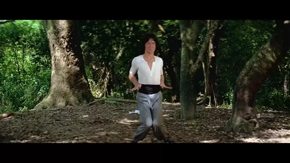 「ドランク・モンキー／酔拳」ジャッキー・チェンの画像