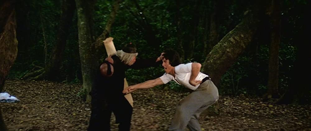 ドランク・モンキー／酔拳の画像