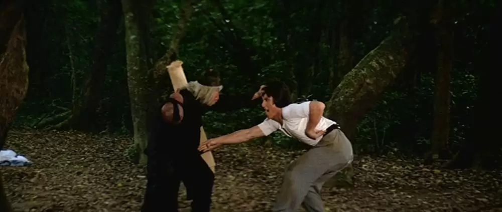 「ドランク・モンキー／酔拳」ジャッキー・チェン & 袁小田の画像