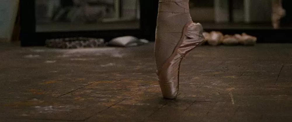 ブラック・スワンの画像