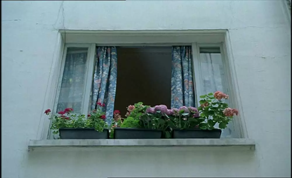 ここに幸ありの画像