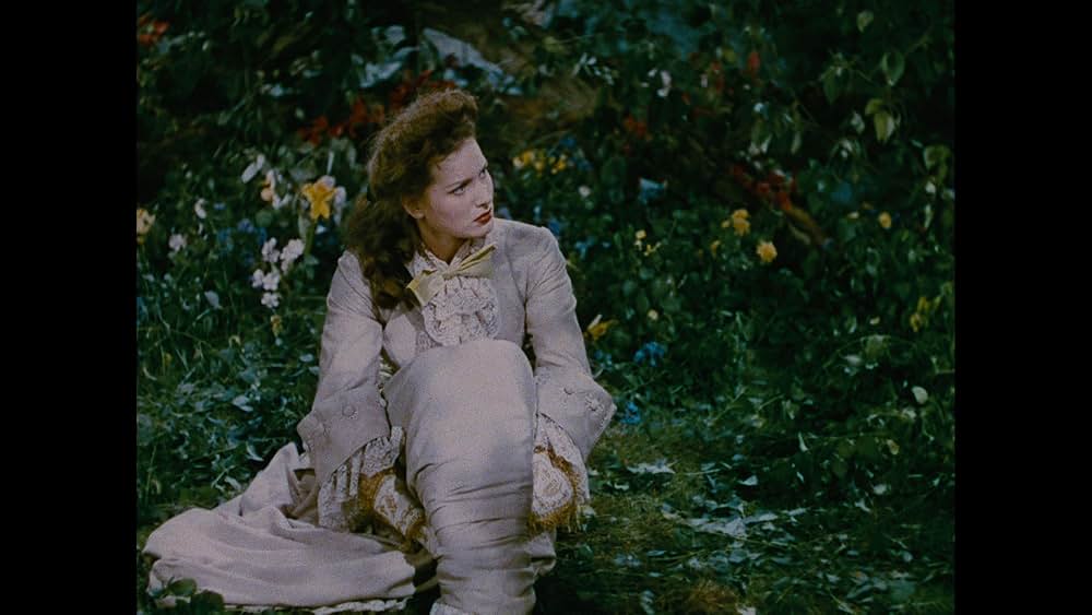 海の征服者の画像