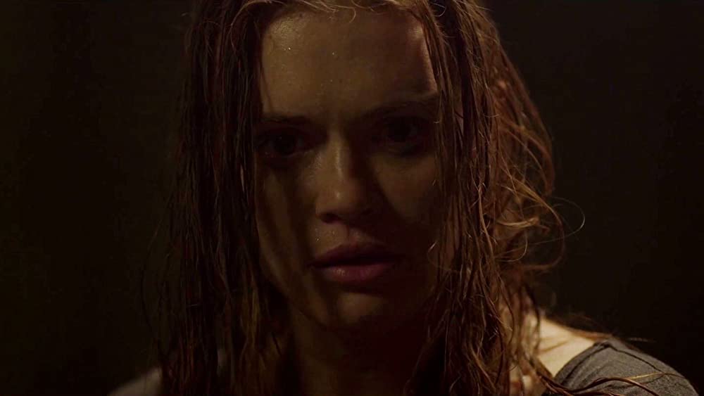 ＃フォロー・ミーの画像