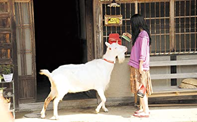 きいろいゾウの画像