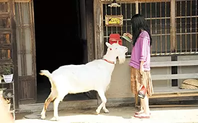 「きいろいゾウ」宮崎あおいの画像