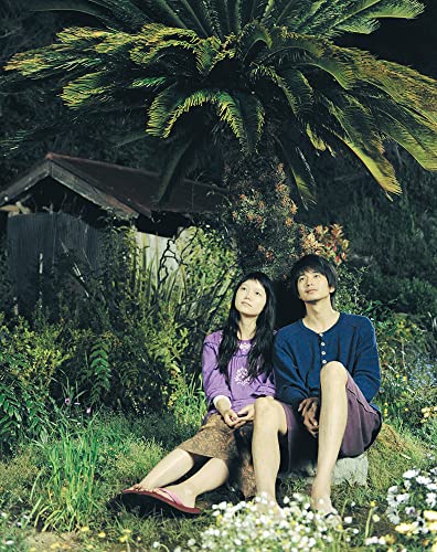 きいろいゾウの画像