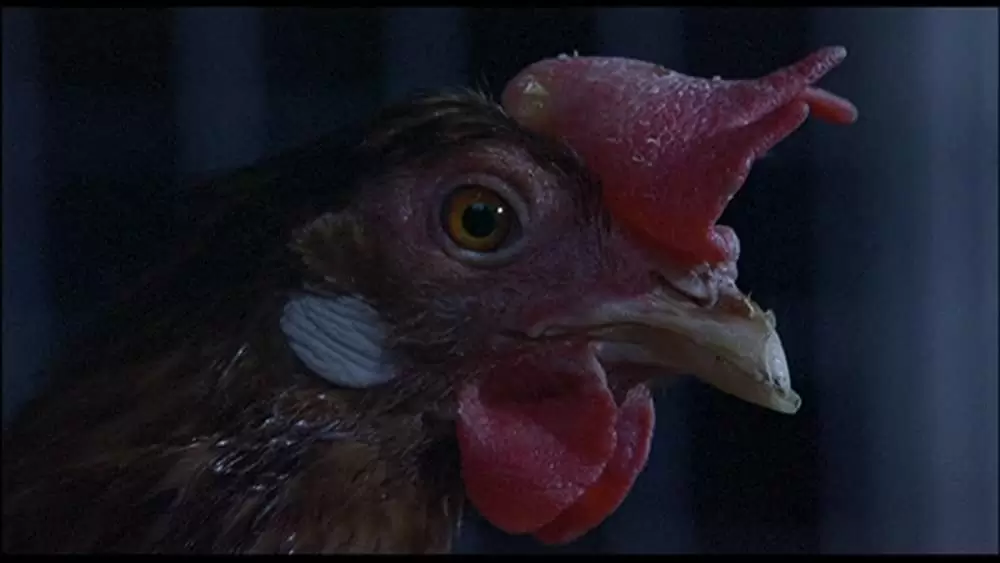 着信アリFinalの画像