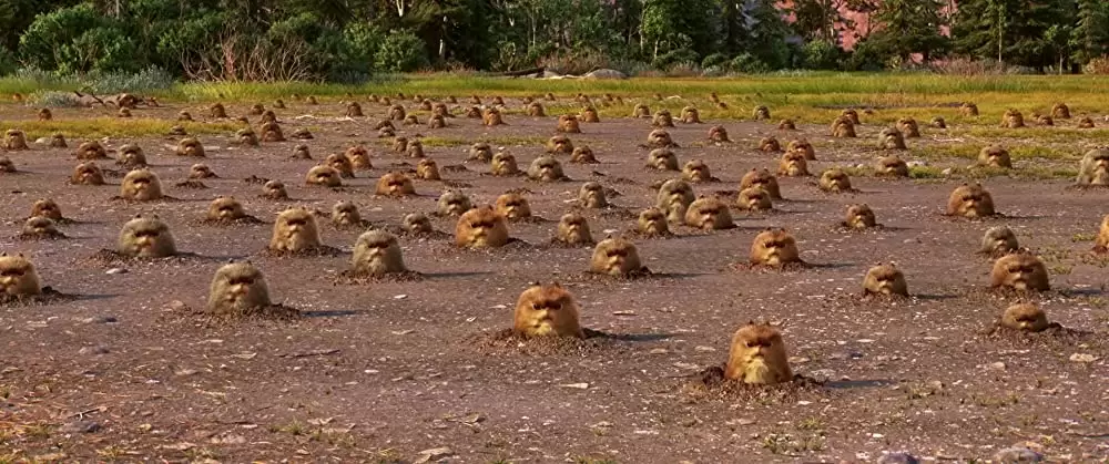 アーロと少年の画像