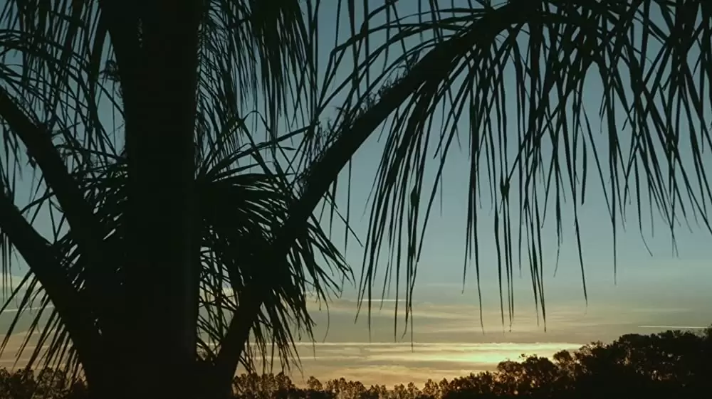 サクラメント 死の楽園の画像