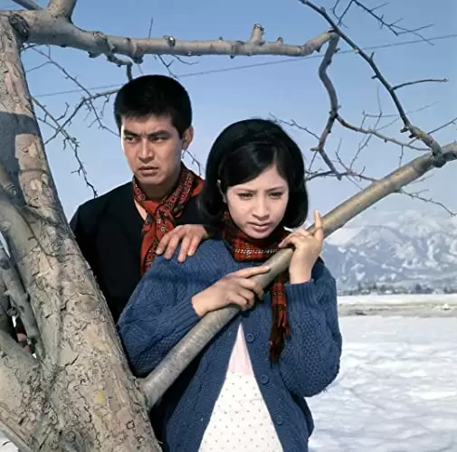 東京流れ者の画像