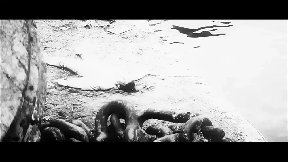 東京流れ者の画像