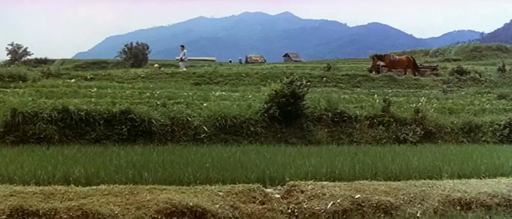 座頭市海を渡るの画像