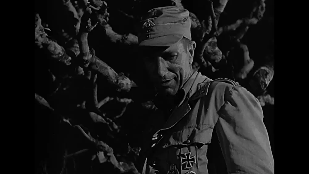 砂漠の鬼将軍の画像