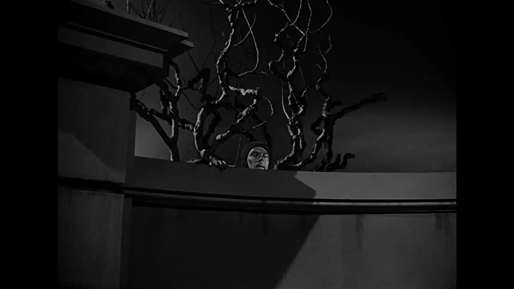 砂漠の鬼将軍の画像