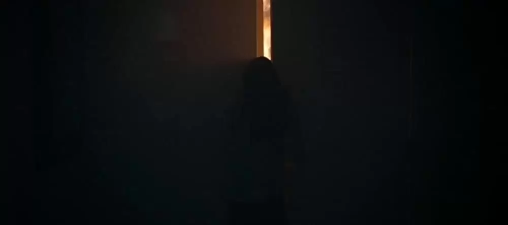 パレス・ダウンの画像