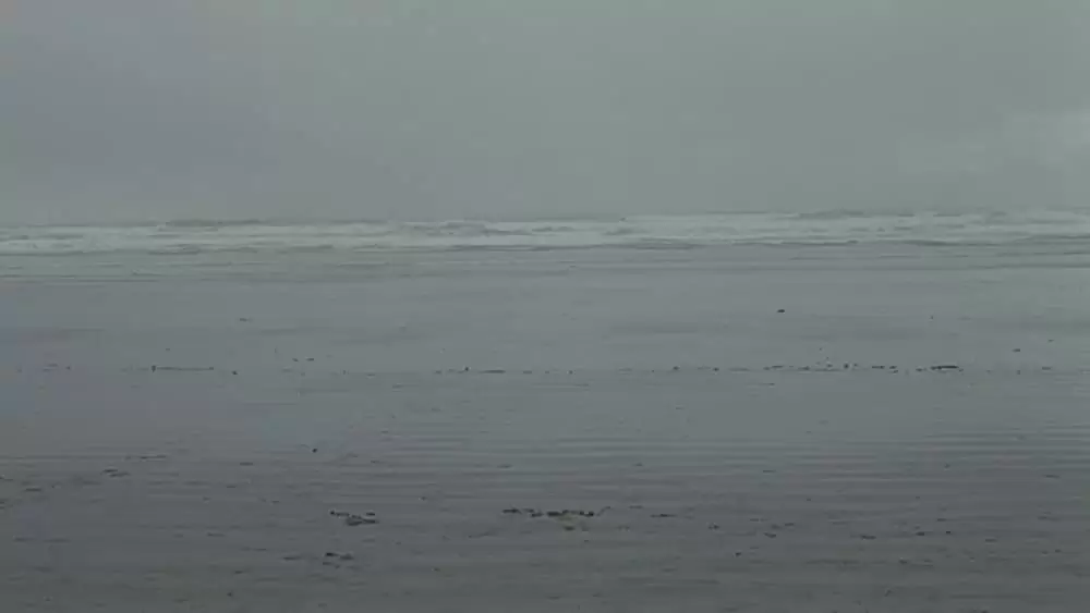 エレジーの画像