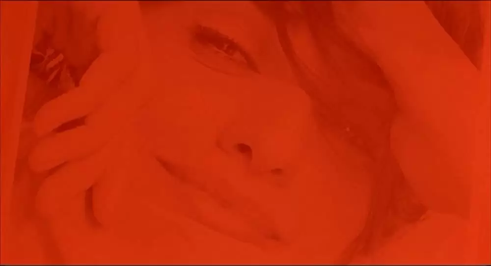 エレジーの画像