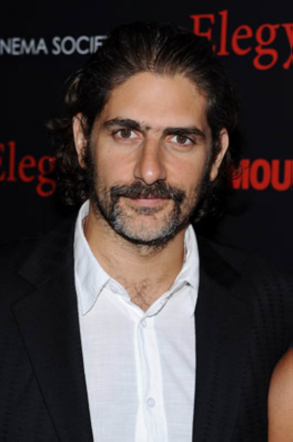 エレジーの画像