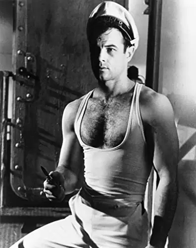 ファスビンダーのケレルの画像