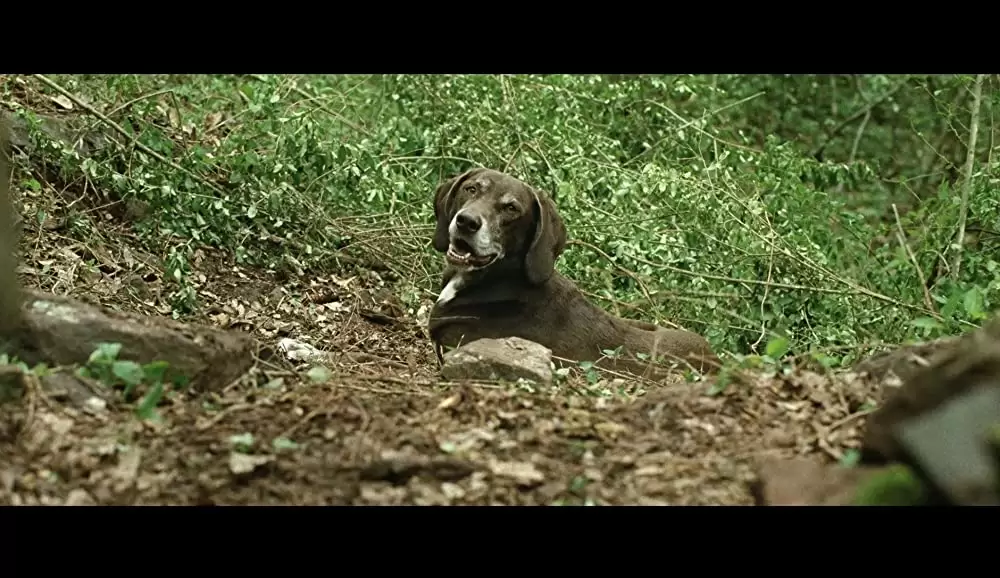 悪魔はいつもそこにの画像