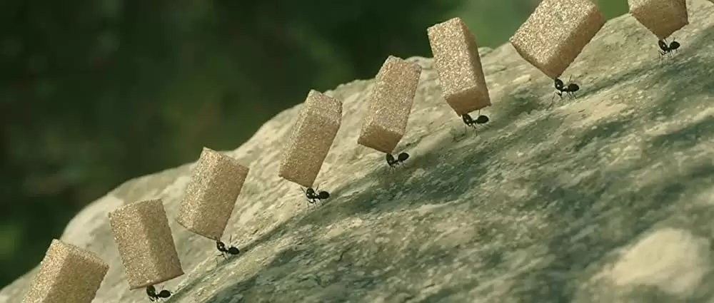 ミニスキュル 森の小さな仲間たちの画像