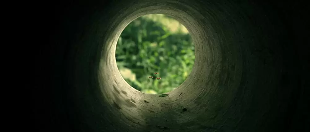 ミニスキュル 森の小さな仲間たちの画像