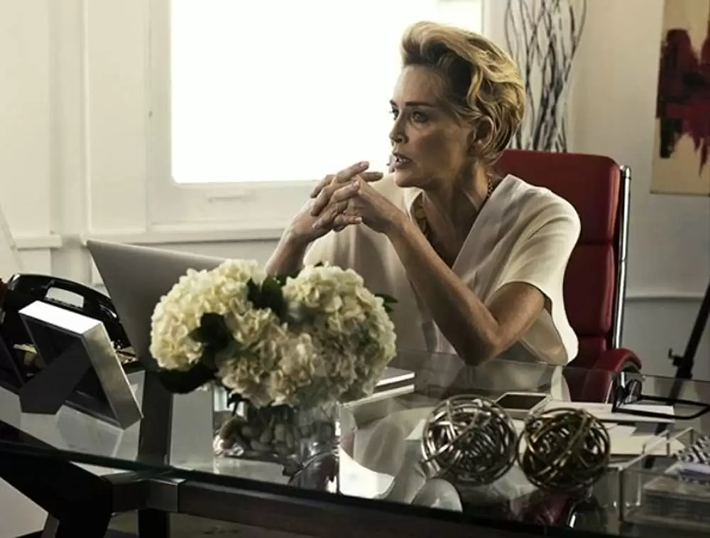 「ニューヨーク、愛を探して」シャロン・ストーンの画像