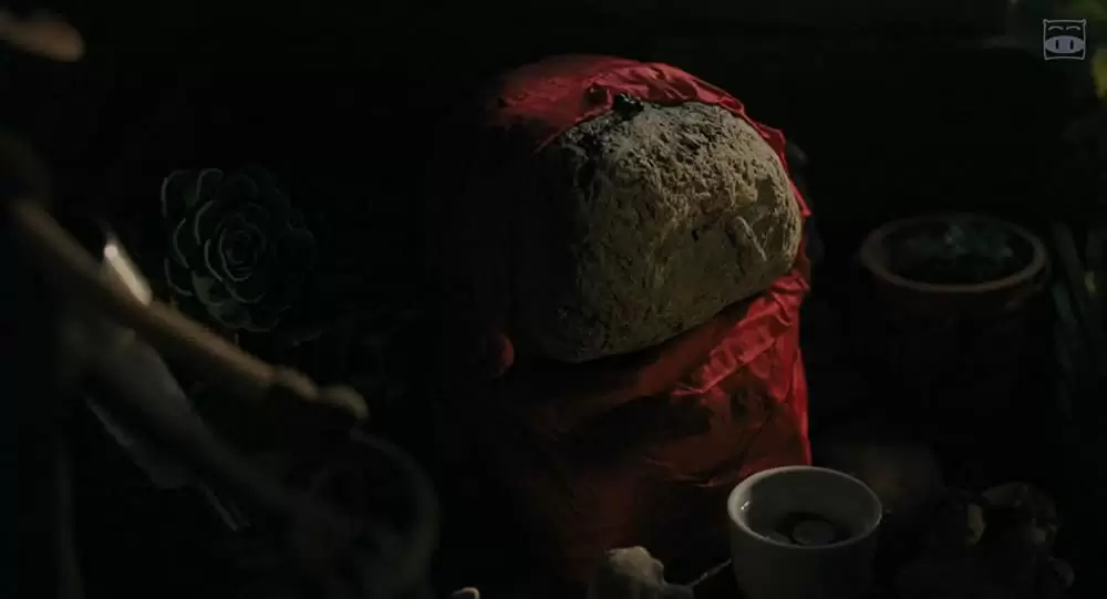 おらおらでひとりいぐもの画像