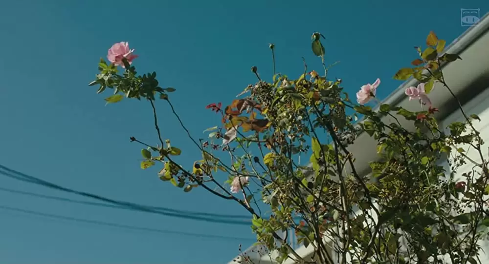 おらおらでひとりいぐもの画像