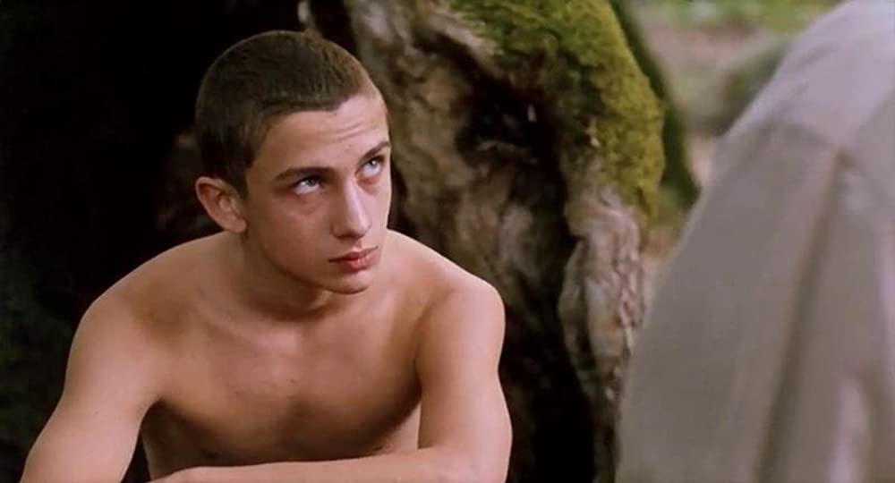 シビラの悪戯の画像