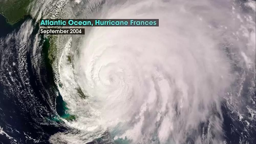 不都合な真実の画像