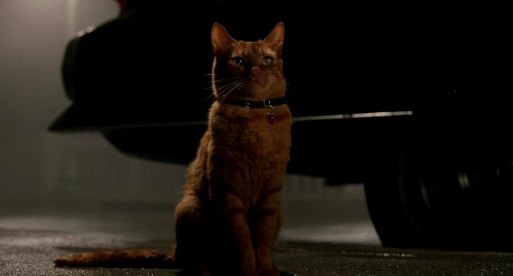 レディ・キラーズの画像