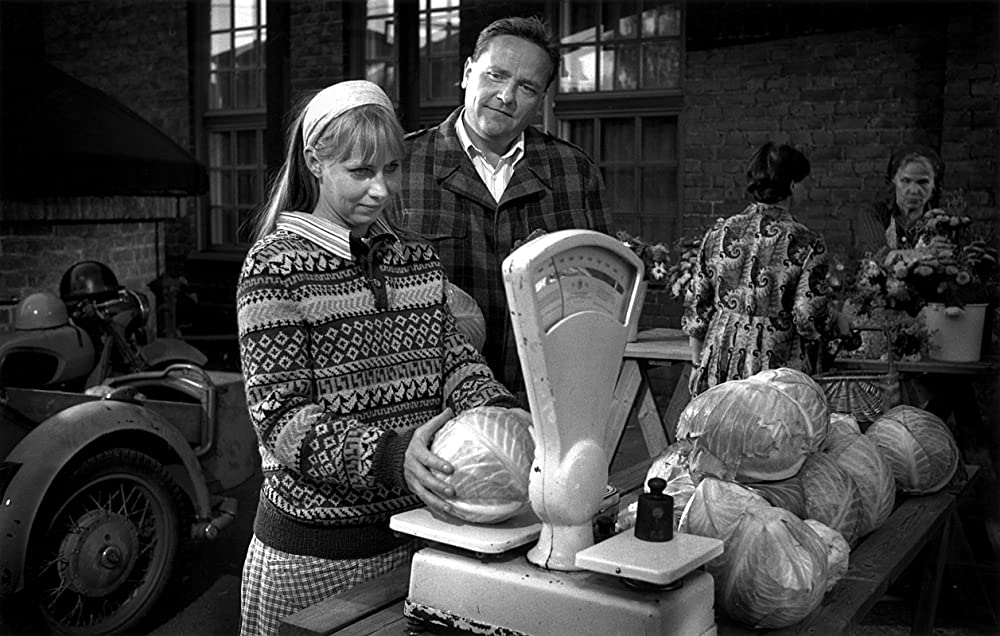 白い花びらの画像