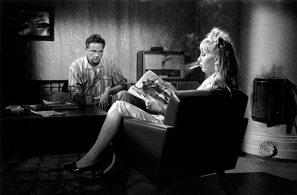 白い花びらの画像