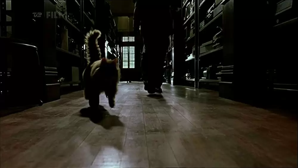 氷の接吻の画像