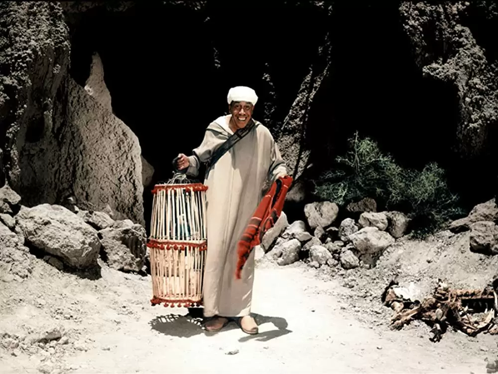 アラブの盗賊の画像