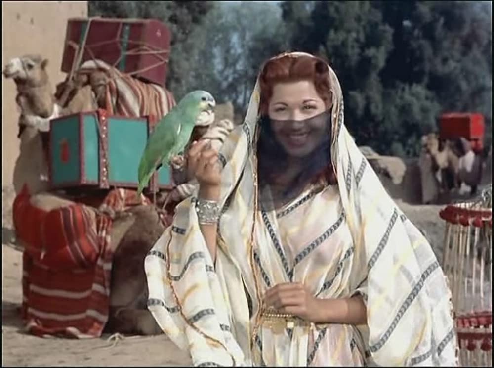 アラブの盗賊の画像