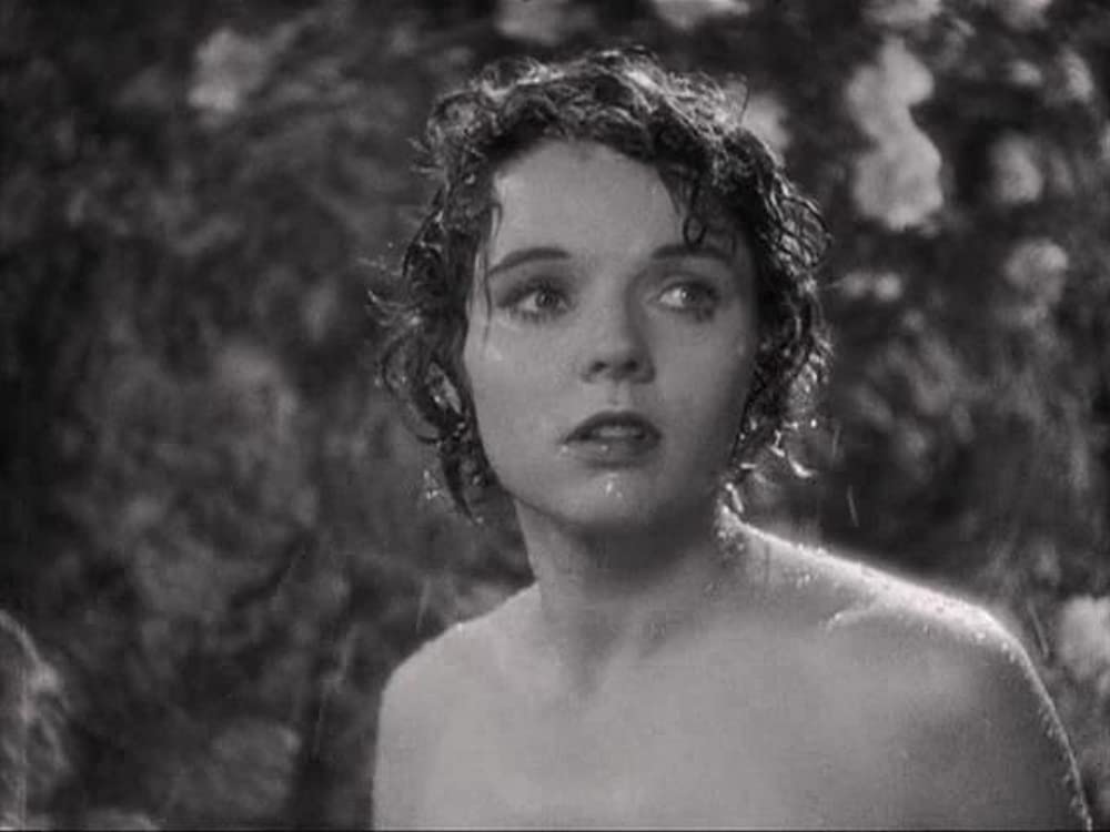 失はれた地平線の画像