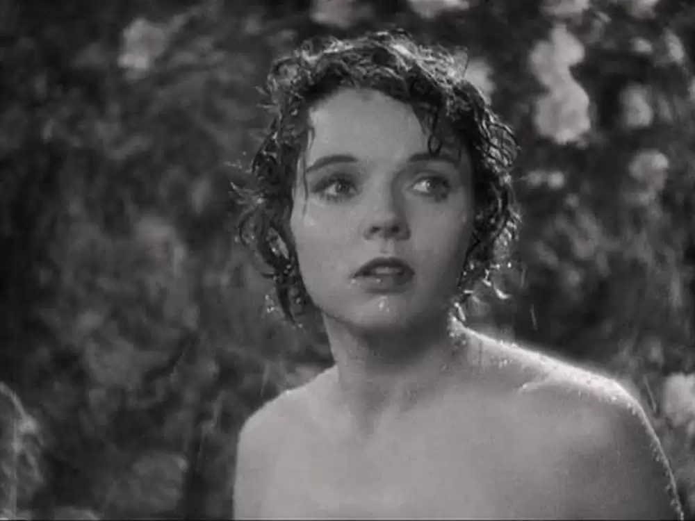 失はれた地平線の画像