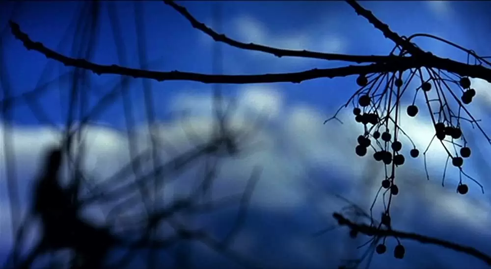 グレイズ・アナトミーの画像