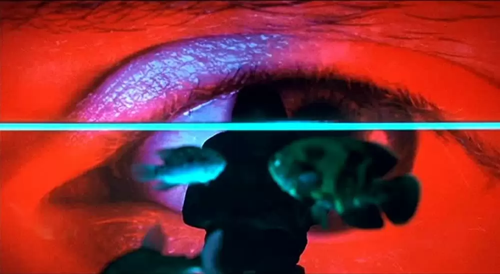 グレイズ・アナトミーの画像