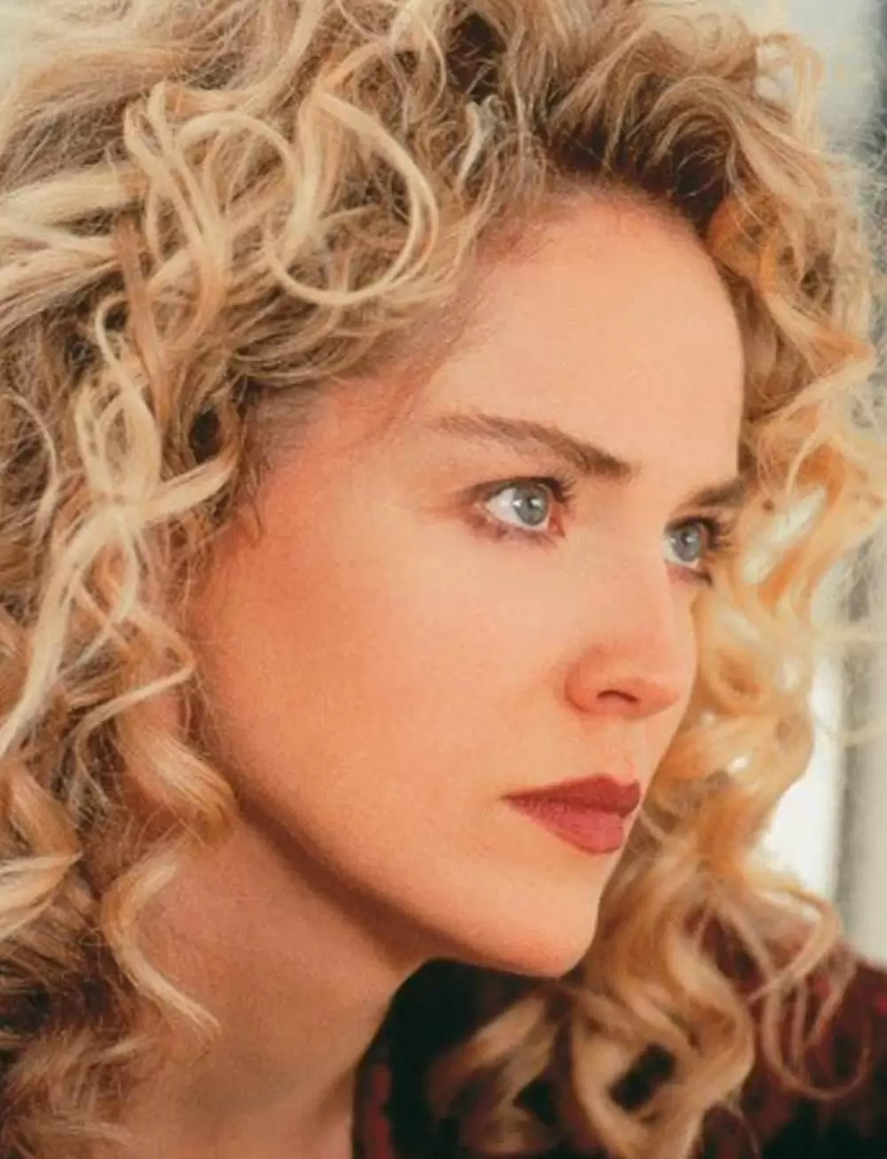 グロリアの画像