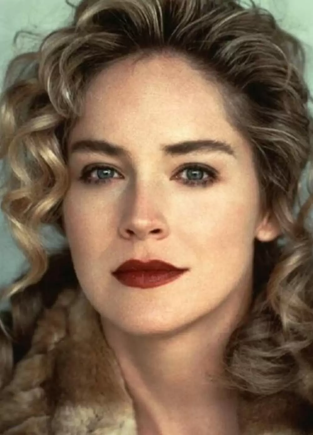 グロリアの画像