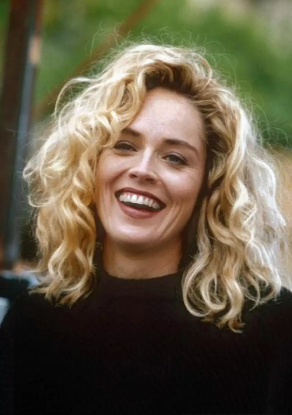 グロリアの画像